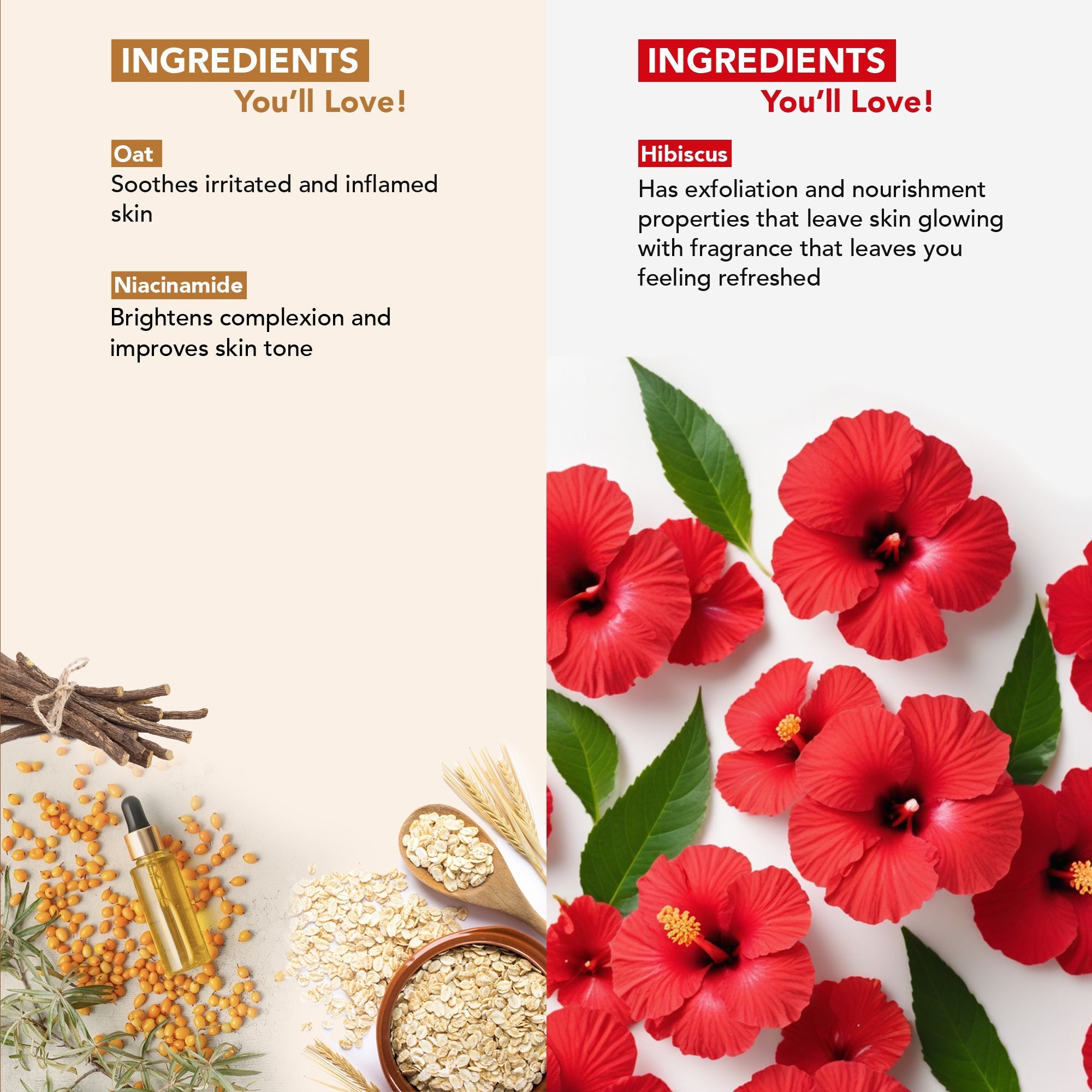 Botanic Hearth Oat & Niacinamide Bodywash & Hibiscus Scrub Combo