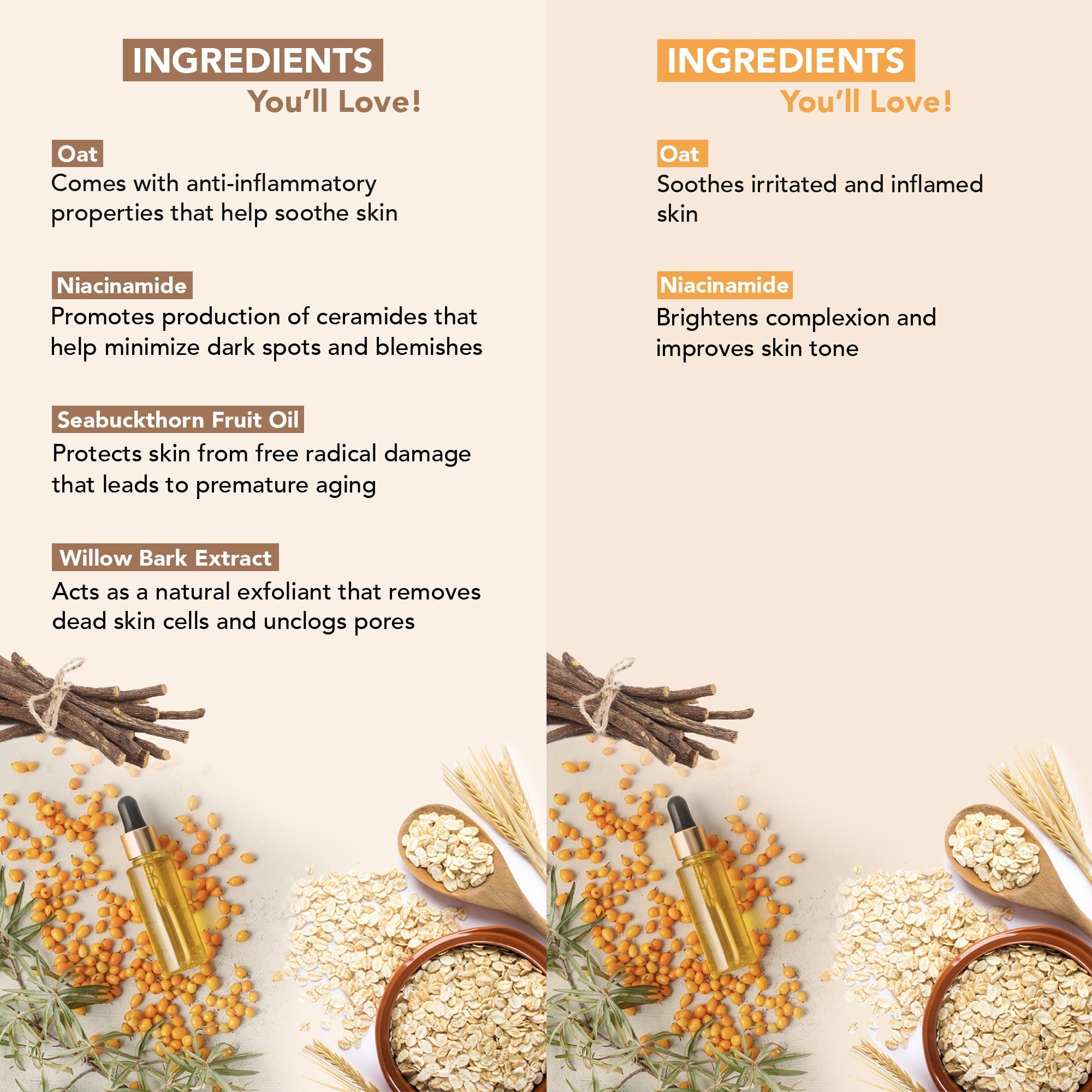 Botanic Hearth Oat & Niacinamide Bodywash - Facewash