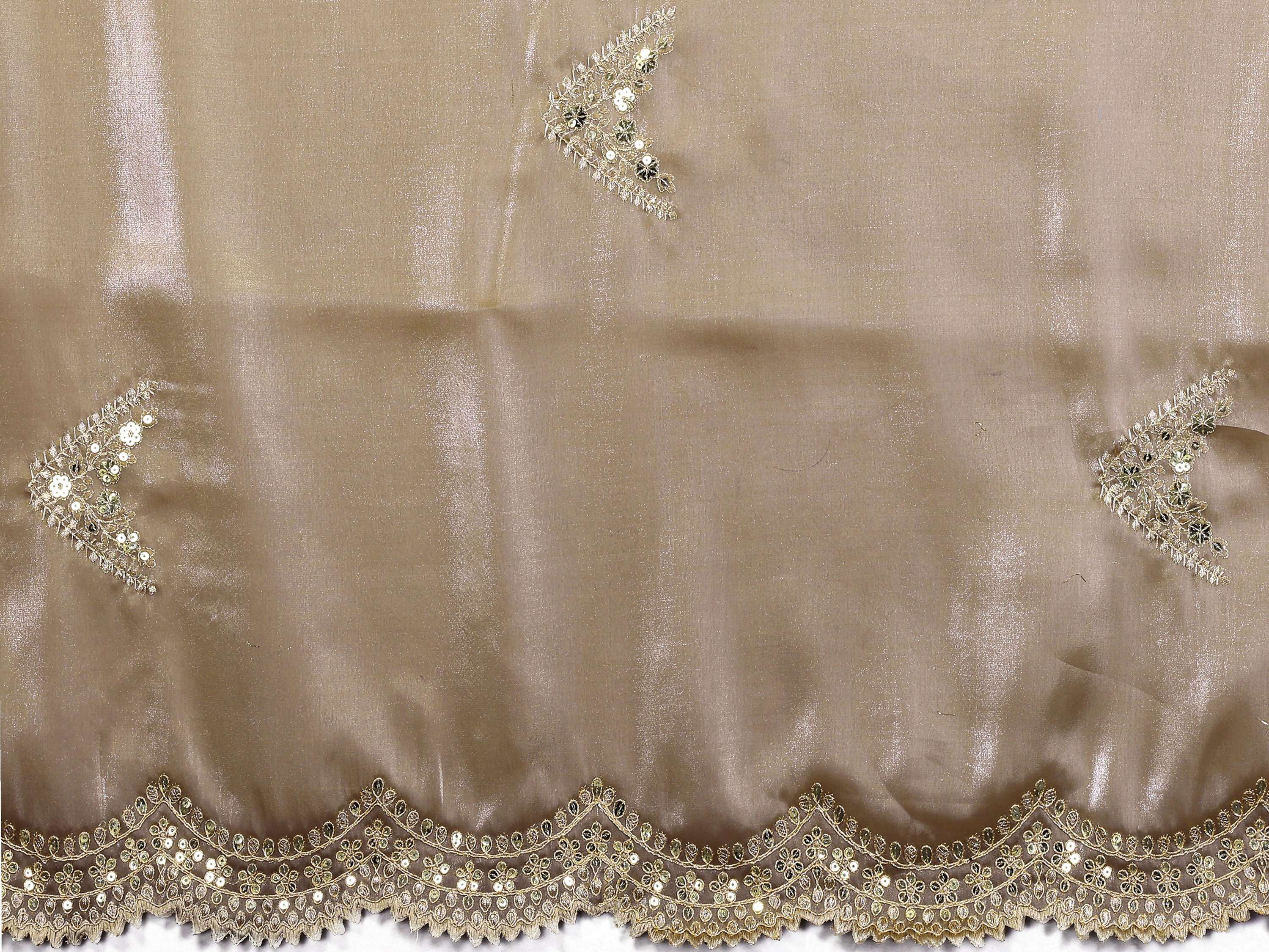 Vastranavya Beige Embroidery Work Shimmer Chiffon Saree with Unstitched Blouse - Distacart