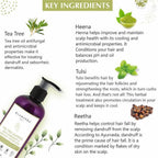 Glamveda Tea Tree Shampoo