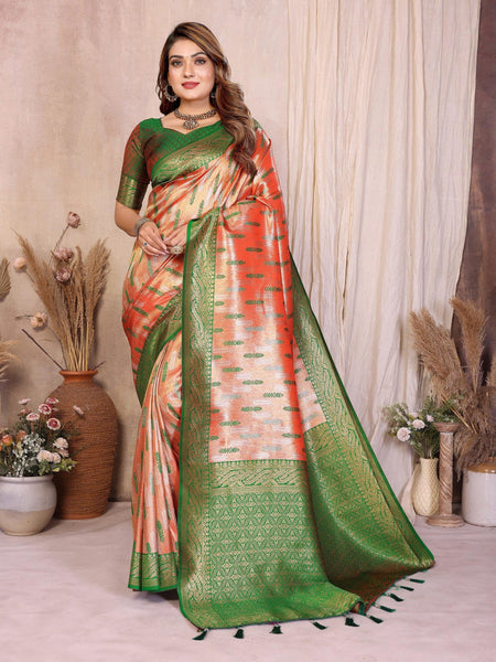 Anaita Banarasi Tissue Silk Saree