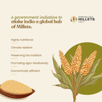 Bharat Vedica Organic Pearl Millet - Organic Bajra - Distacart