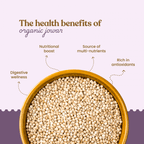 Bharat Vedica Organic Sorghum Millet - Organic Jowar