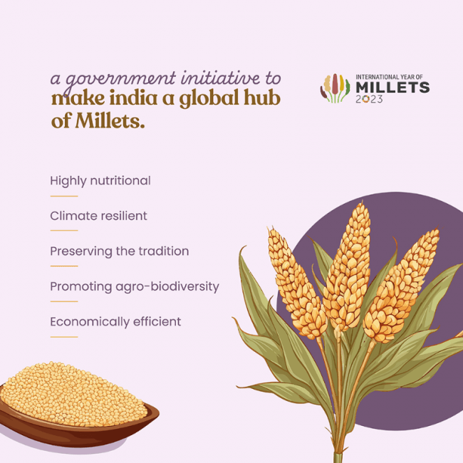 Bharat Vedica Organic Sorghum Millet - Organic Jowar