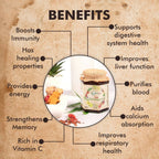 Nutriorg Vedic Chyawanprash - Distacart