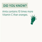 Vitro Naturals Amla Candy