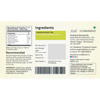 Teacurry Dandelion Root Tea Bags - Distacart