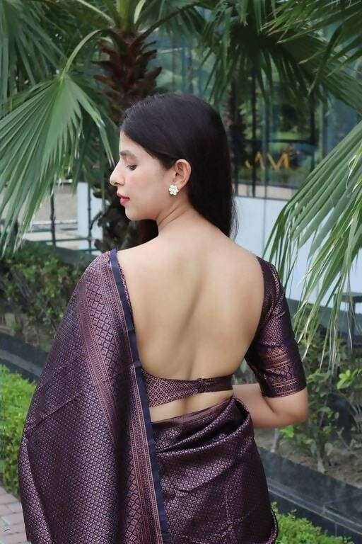 DEIANA'S Beautiful Designer Golden zari Soft Lichi Silk Saree - Purple