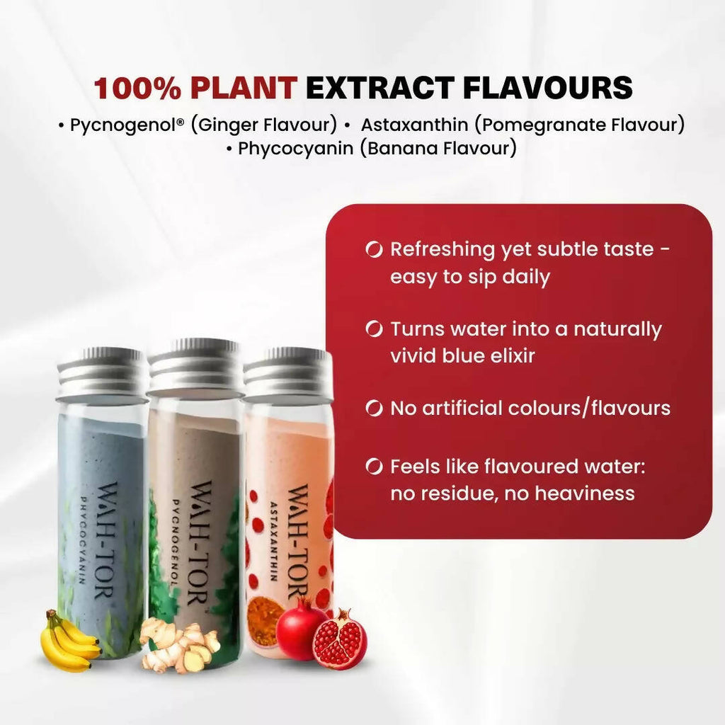 Chosen Wah-Tor Plant Powered Collagen Builder