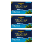 Park Avenue Premium Men's Soap - Cool Blue