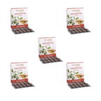 Patanjali Ashwagandha Capsules - Distacart