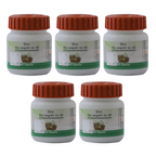 Patanjali Divya Mahasudarshan Ghan Vati - Distacart