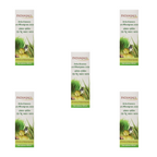 Patanjali Amla Aloevera with Wheat Grass Juice - Distacart