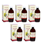 Patanjali Giloy Amla Juice - Distacart