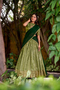 Evanik Traditional Pista Dupion Silk With Zari Weaving Work Lehenga Choli - Distacart