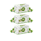 Planet Ayurveda Tulsi Green Tea