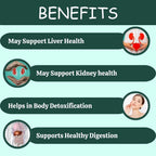 Herbal Hills Ayurveda Punarnavahills Capsules - Distacart