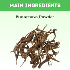 Herbal Hills Ayurveda Punarnava Powder - Distacart