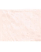 Piyari Fashion Women's Peach Organic Tissue Saree With Blouse Piece - Distacart