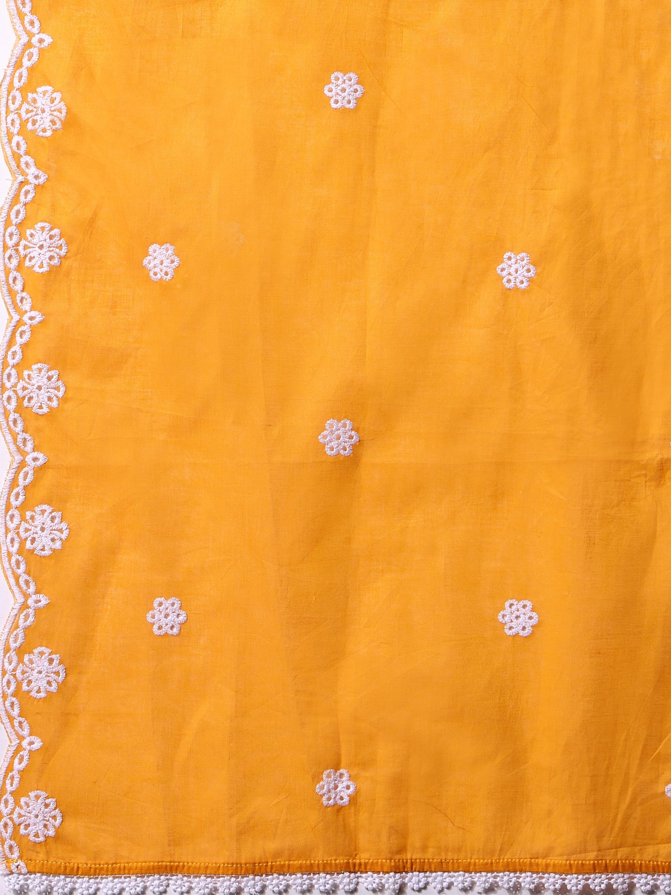 Nayra Cut Chikankari Embroidered Kurta With Pant And Dupatta Set, Multicolor - Hiral Fashion