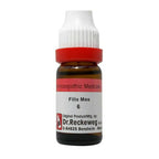 Dr. Reckeweg Filix Mas Dilution - Distacart