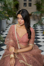 Eilara Glamorous Rust Butterfly Net With Tone To Tone Thread And Sequence Embroidered Work Lehenga Choli For Wedding