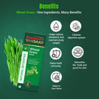 Baidyanath Vansaar Wheat Grass Juice - Distacart
