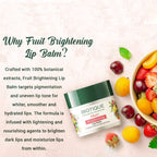 Biotique Advanced Ayurveda Bio Fruit Whitening Lip Balm - Distacart