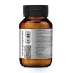Merlion Naturals Papaya Leaf 500mg Tablets - Distacart