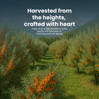Krishna'S Herbal & Ayurveda Sea Buckthorn Juice
