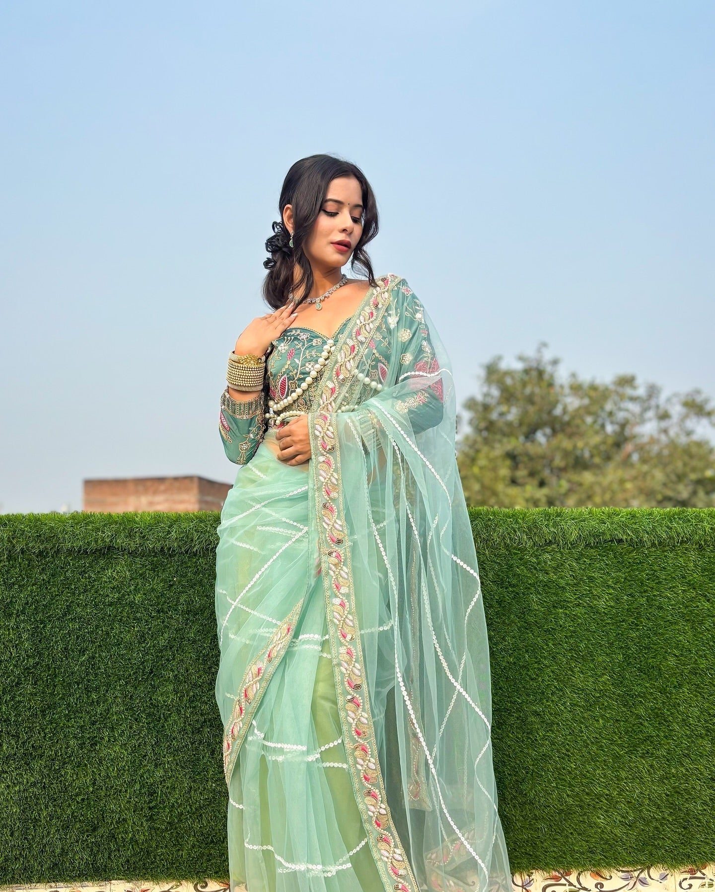 Evanik Pista Net Embroidery work Saree with Moti Hand work Blouse