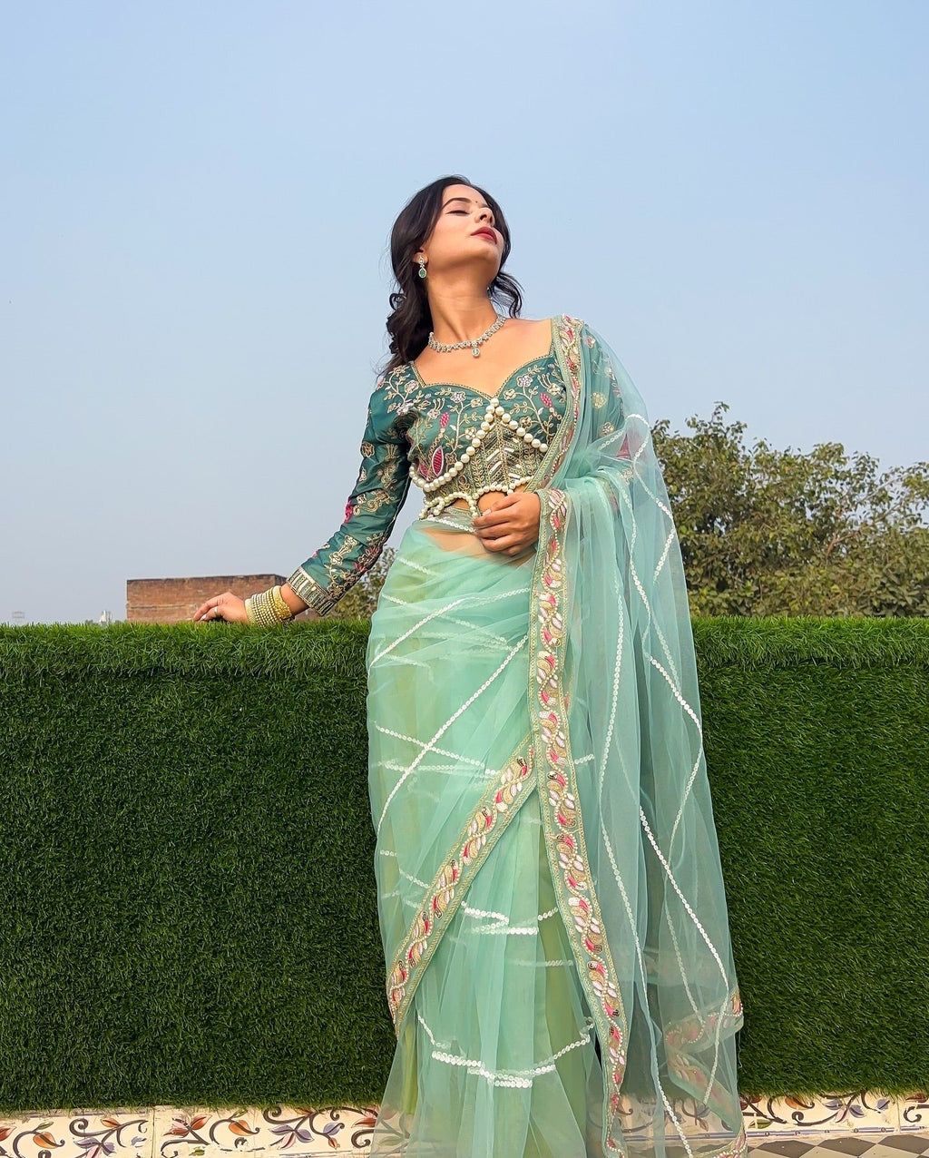 Evanik Pista Net Embroidery work Saree with Moti Hand work Blouse