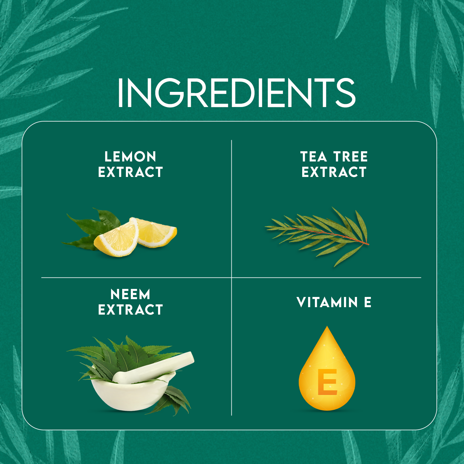 Jovees Tea Tree Oil Control Face Wash - Distacart