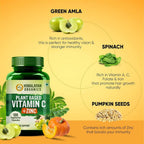 Plant Based Vitamin C + Zinc Double Immune Support: