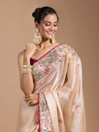 Teeya Creation Chiku Color Organza Silk Heavy Work Saree - Distacart