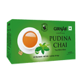 Girnar Black Tea Bags - Pudina - Distacart