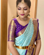 DEIANA'S Beautiful Designer Golden zari Soft Lichi Silk Saree - Sky