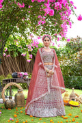 Pink Net Embroidered Semi Stitched Lehenga Choli with Dupatta - Bhagya