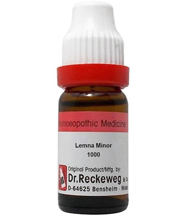 Dr. Reckeweg Lemna Minor Dilution - Distacart