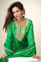 Anaita Green Chinon Stitched Suit with Digital Print & Embroidery Coding Sequence Work - Distacart