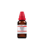 Dr. Willmar Schwabe India Vaccinium Myrtillus Dilution