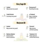 Keya Seth Aromatherapy Alopex Long N Strong Hair Oil