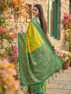 Shree Shyam Fashion Green Pochampally Silk Saree - Distacart