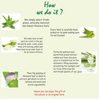 Axiom Aloevera Juice - Distacart