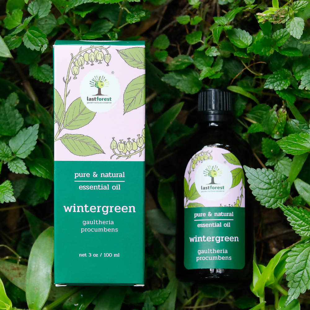 Lastforest Therapeutic Essential Oil Wintergreen