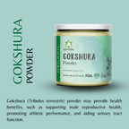 Ayurvedix Organic Gokshura Powder - Distacart