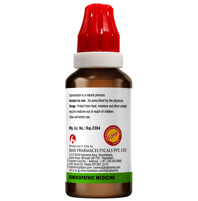 Bjain Homeopathy Ulmus Fulva Mother Tincture Q