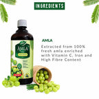 Dabur Amla Juice Immunity Booster