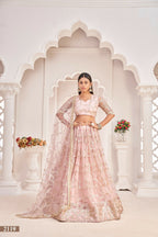 Eilara Women'S Baby Pink Butterfly Net Embroidered Thread Work Party Wear Lehenga Choli