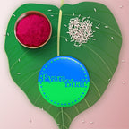 Indianvibez Pyara Bhai Metal Rakhi with Fridge Magnet - Kids Rakhi - Distacart
